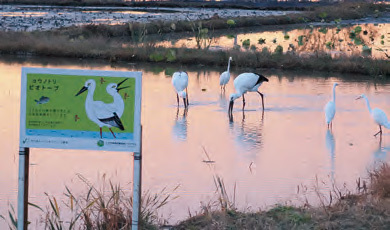 �C���[�W�摜